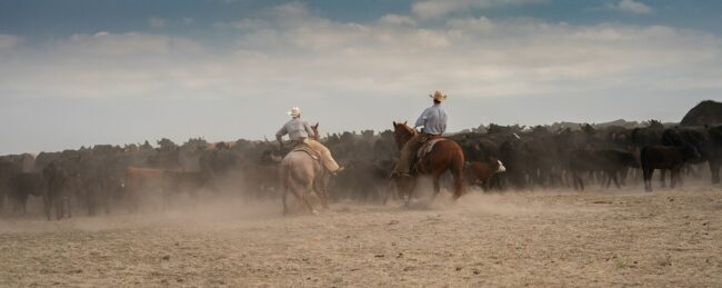 Rob Hammer Photography Holding the Line Color Photography