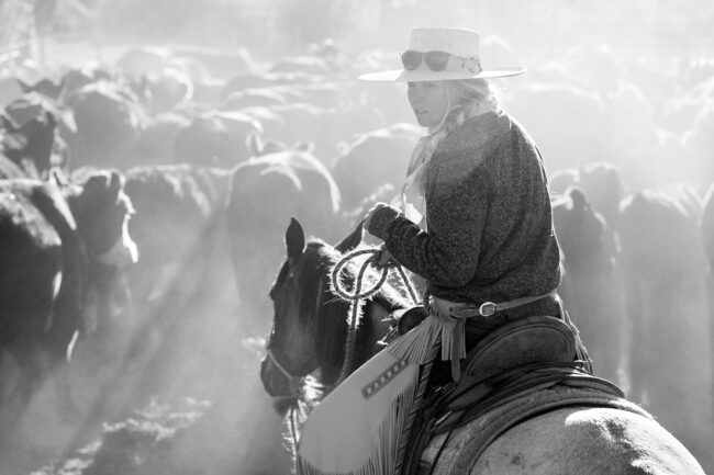 Rob Hammer Photography It's Cool to be a Cowgirl Black and White Photography