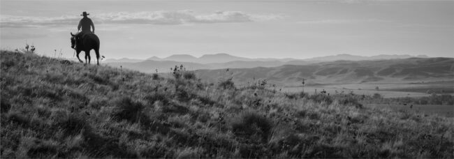 Rob Hammer Photography Montana Morning Black and White Photography