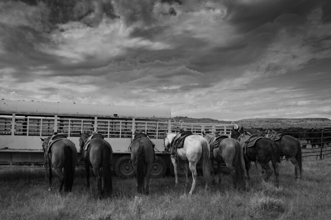 Rob Hammer Photography Storm Black and White Photography