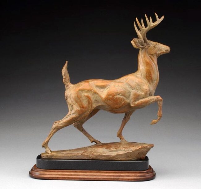 Sandy Scott Sculpture Whitetail Bronze