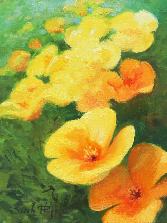 Sarah Phippen Painting Poppies Golden Nuggets Oil on Linen