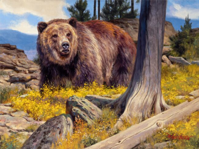 Dustin Van Wechel Painting Not Yogi Bear Oil on Linen